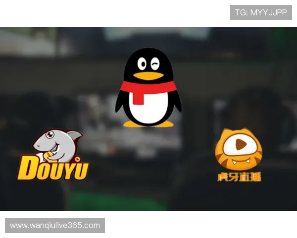 玩足球直播在线观看免费 电竞投注盘口防骗避坑
